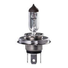 Load image into Gallery viewer, H4 HALOGEN GLOBE 12V 60/55W P43T-38 BASE LONG LIFE | IGL2140-IGNITE-Autoignite NZ