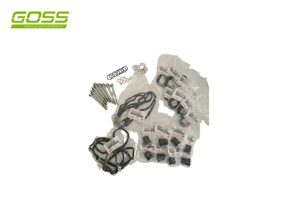 1VD 79/200 SERIES SEAL KIT | DSK003-GOSS-Autoignite NZ