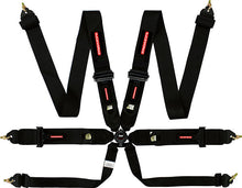 Load image into Gallery viewer, RACEWORKS 6 POINT FIA/SFI SAFETY HARNESSES
