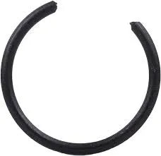 BOSCH RETAINING RING | 2 916 600 007-BOSCH-Autoignite NZ
