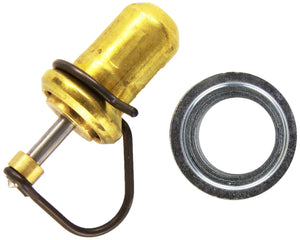 BOSCH THERMOSTAT | F026T03038-BOSCH-Autoignite NZ