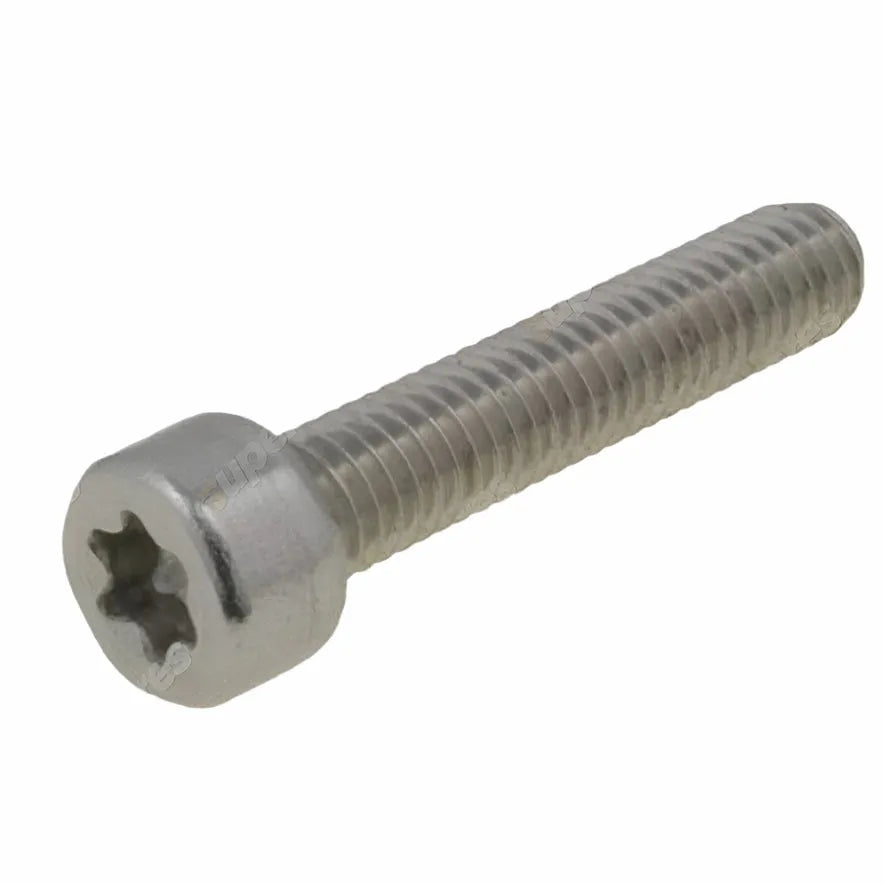 BOSCH TORX SH CAP SCREW | 2 912 742 196-BOSCH-Autoignite NZ