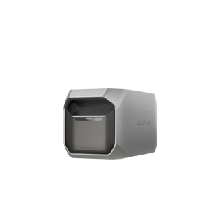 DELTA 3 Extra Battery