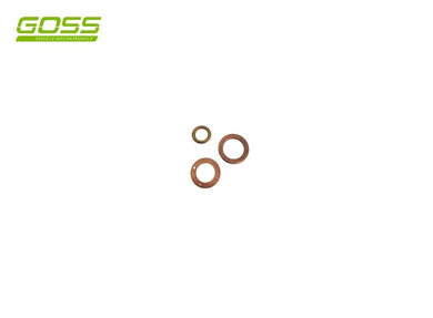 DIESEL WASHER KIT | DWK551-GOSS-Autoignite NZ