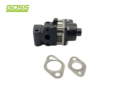 EGR VALVE SUZUKI | EV173