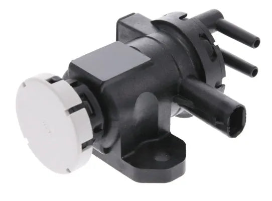 ELECTRIC VALVE SOLENOID | EVS-209-AUTOIGNITE-Autoignite NZ