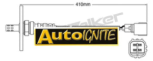 EXHAUST GAS OXYGEN SENSOR | EGO-821-AUTOIGNITE-Autoignite NZ