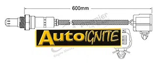 EXHAUST GAS OXYGEN SENSOR | EGO-824-AUTOIGNITE-Autoignite NZ