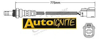 EXHAUST GAS OXYGEN SENSOR | EGO-829-AUTOIGNITE-Autoignite NZ