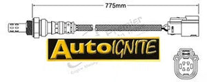 EXHAUST GAS OXYGEN SENSOR | EGO-829-AUTOIGNITE-Autoignite NZ