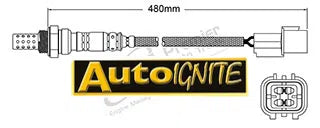 EXHAUST GAS OXYGEN SENSOR | EGO-847-AUTOIGNITE-Autoignite NZ