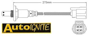 EXHAUST GAS OXYGEN SENSOR | EGO-893-AUTOIGNITE-Autoignite NZ