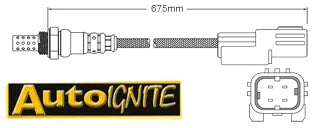 EXHAUST GAS OXYGEN SENSOR | EGO-903-AUTOIGNITE-Autoignite NZ