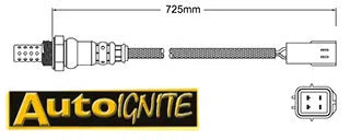 EXHAUST GAS OXYGEN SENSOR | EGO-929-AUTOIGNITE-Autoignite NZ