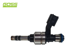 GDI INJECTOR 3.0LT LF1 | PID011