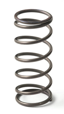 GFB EX50 9PSI INNER SPRING-GFB-Autoignite NZ