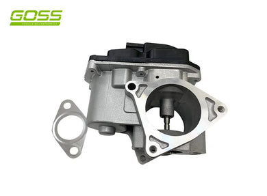 GOSS EGR VALVE AUDI VW | EV164