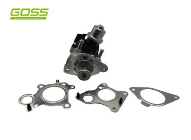 GOSS EGR VALVE BMW MINI | EV166