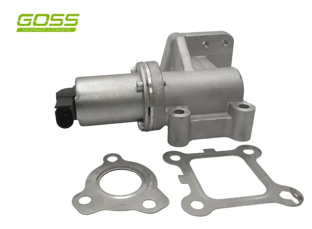 GOSS EGR VALVE HYUNDAI/KIA | EV117