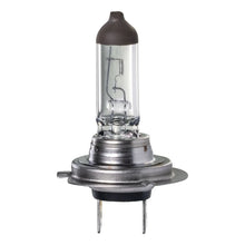 Load image into Gallery viewer, H7 HALOGEN GLOBE 12V 55W PX26D LONG LIFE | IGL2160BL-IGNITE-Autoignite NZ
