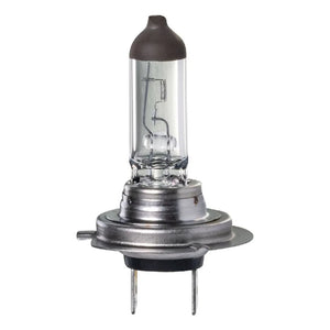 H7 HALOGEN GLOBE 12V 55W PX26D LONG LIFE | IGL2160BL-IGNITE-Autoignite NZ