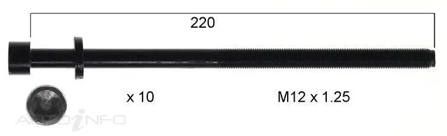 HEAD BOLT SET HOLDEN Z19DTH-PERMASEAL-Autoignite NZ