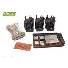 Load image into Gallery viewer, GOSS IGNITION CONTROL MODULE KIT | IM021KIT
