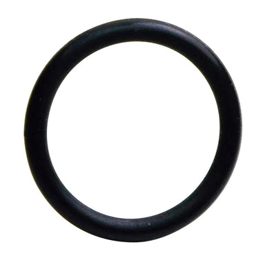 INJECTOR O-RING SEAL 12 | S5053-12-GOSS-Autoignite NZ