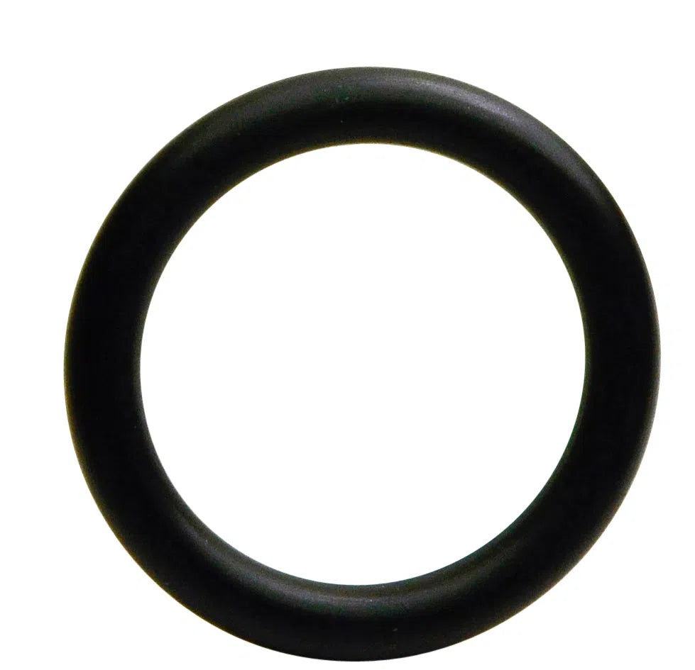 INJECTOR O-RING SEAL 12 | S5094-12-GOSS-Autoignite NZ