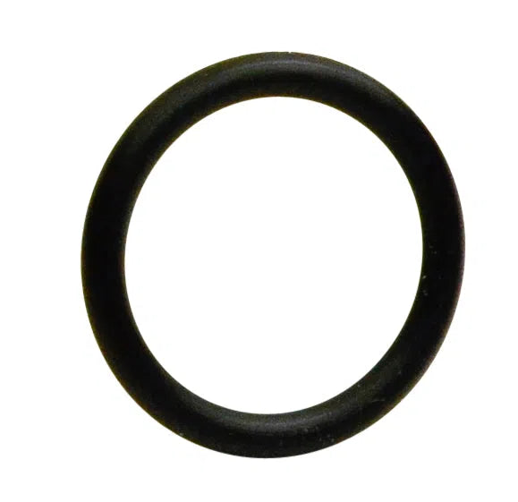 INJECTOR O-RING SEAL 12 | S5095-12-GOSS-Autoignite NZ