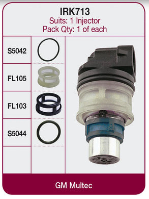 INJECTOR REPAIR KIT | IRK713-GOSS-Autoignite NZ