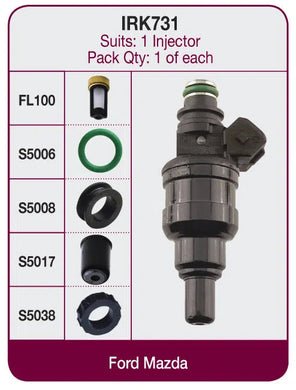 INJECTOR REPAIR KIT | IRK731-GOSS-Autoignite NZ