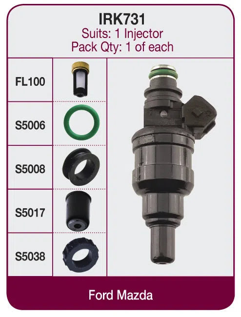 INJECTOR REPAIR KIT | IRK731-GOSS-Autoignite NZ