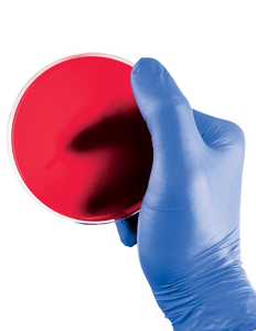iSense® Blue Disposable Gloves Box of 100-TGC-Autoignite NZ