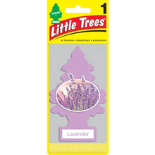 Load image into Gallery viewer, LITTLE TREES AIR FRESHENERS-AUTOIGNITE-Autoignite NZ
