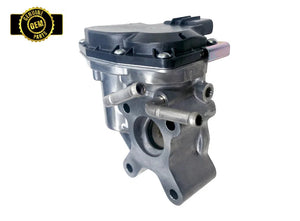 OEM EGR VALVE NISSAN | EV139GEN