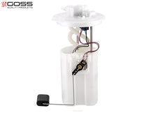 Load image into Gallery viewer, OEM FUEL PUMP MODULE | GE262GEN-GOSS-Autoignite NZ
