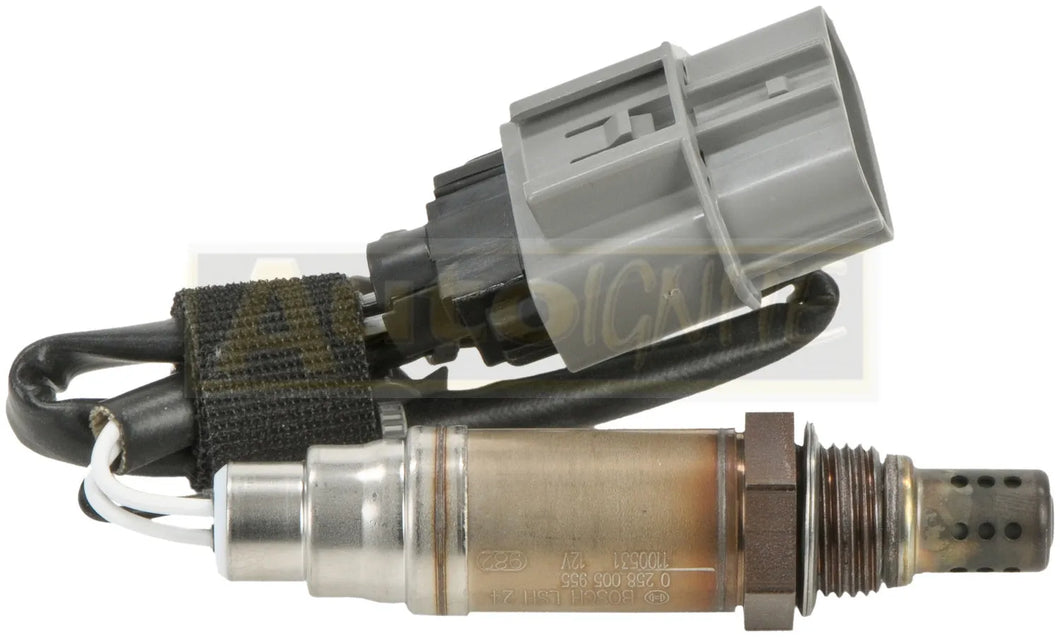 OXYGEN SENSOR | 0 258 005 955-BOSCH-Autoignite NZ