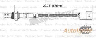 OXYGEN SENSOR | EGO-026-AUTOIGNITE-Autoignite NZ