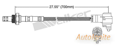 OXYGEN SENSOR | EGO-036-AUTOIGNITE-Autoignite NZ