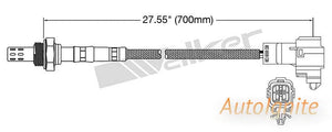 OXYGEN SENSOR | EGO-036-AUTOIGNITE-Autoignite NZ