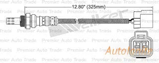 OXYGEN SENSOR | EGO-049-AUTOIGNITE-Autoignite NZ