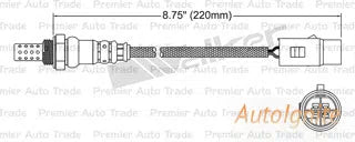 OXYGEN SENSOR | EGO-050-AUTOIGNITE-Autoignite NZ