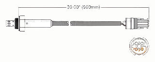 OXYGEN SENSOR | EGO-062-AUTOIGNITE-Autoignite NZ