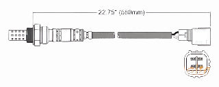 OXYGEN SENSOR | EGO-067-AUTOIGNITE-Autoignite NZ