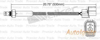 OXYGEN SENSOR | EGO-081-AUTOIGNITE-Autoignite NZ