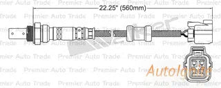 OXYGEN SENSOR | EGO-113-AUTOIGNITE-Autoignite NZ