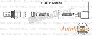 OXYGEN SENSOR | EGO-126-AUTOIGNITE-Autoignite NZ