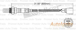 OXYGEN SENSOR | EGO-141-AUTOIGNITE-Autoignite NZ