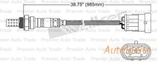 OXYGEN SENSOR | EGO-166-AUTOIGNITE-Autoignite NZ